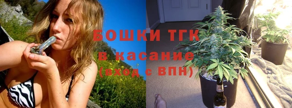 дмт Инта